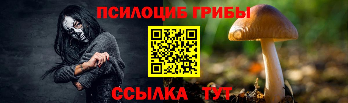 Галлюциногенные грибы Magic Shrooms Асбест